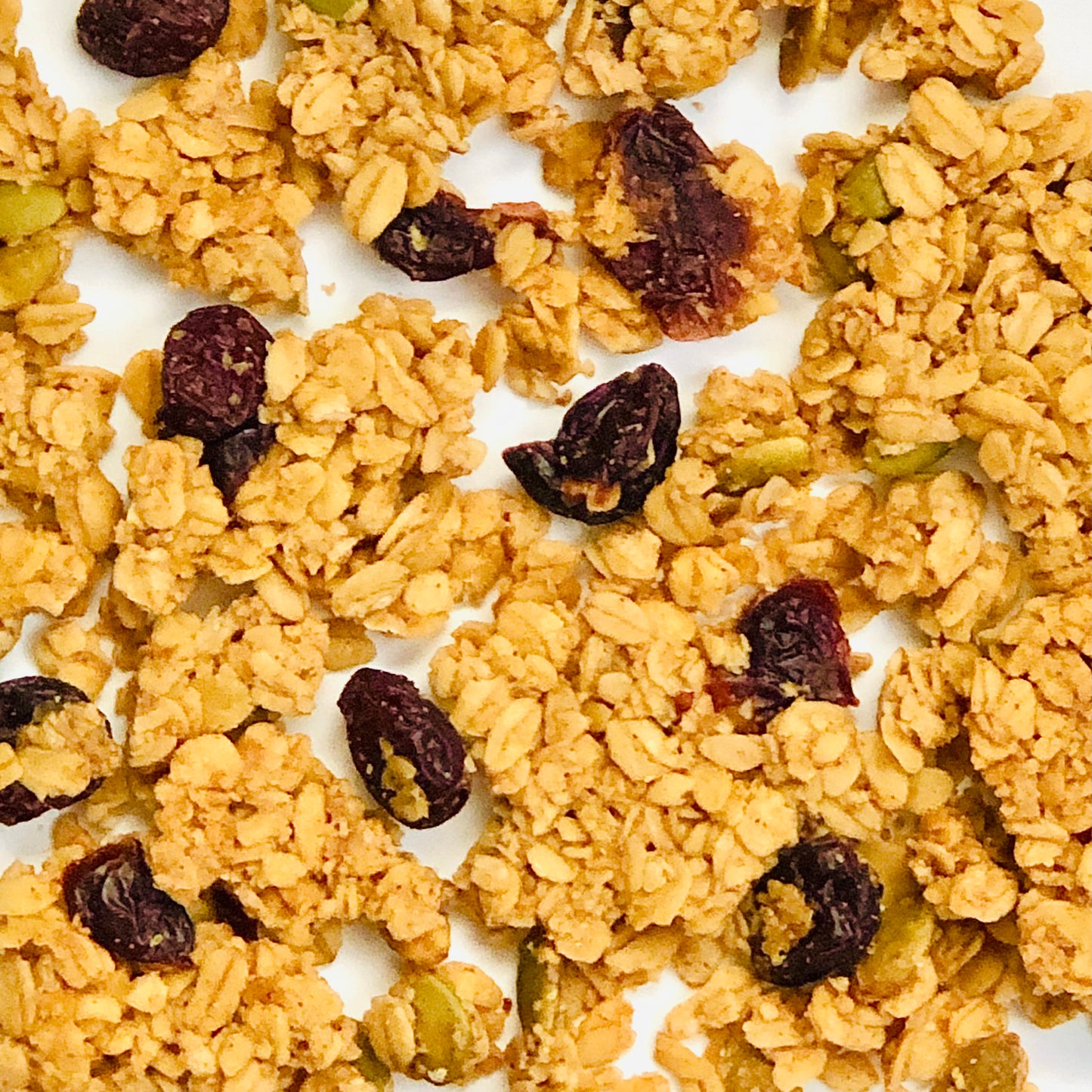 Cranberry Orange Granola Snack